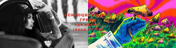 дживик Арсеньев