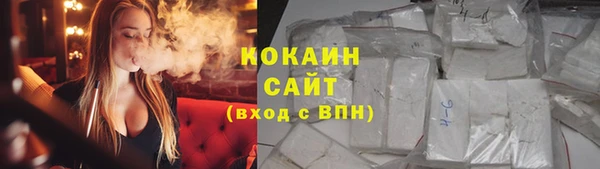 дживик Арсеньев