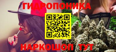 спиды Шахты